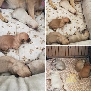 Meet your Posher, Damian